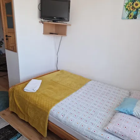 Goscinne Nawigator Проживание в семье *