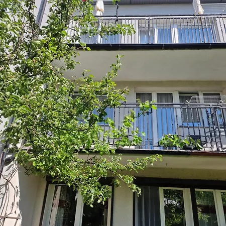 Goscinne Nawigator Проживание в семье