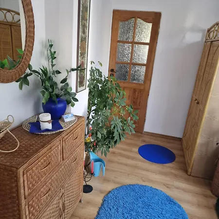 Goscinne Nawigator *