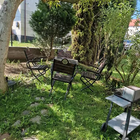 Goscinne Nawigator *