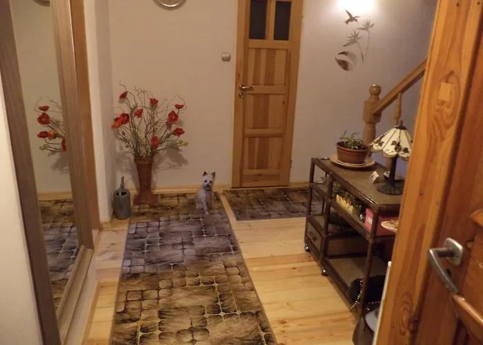 Goscinne Nawigator Homestay szállás