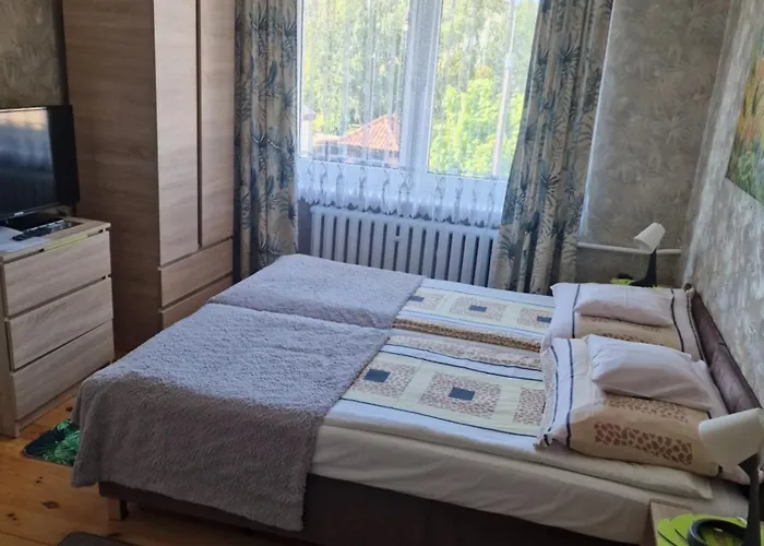 Goscinne Nawigator *