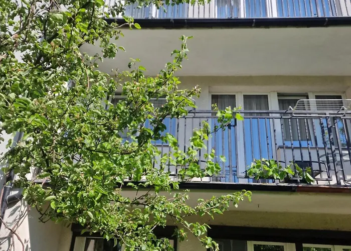 Goscinne Nawigator Homestay szállás