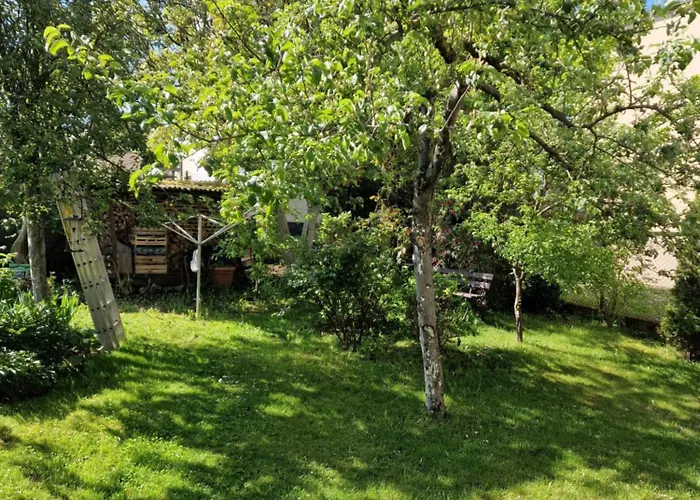 Goscinne Nawigator Władysławowo