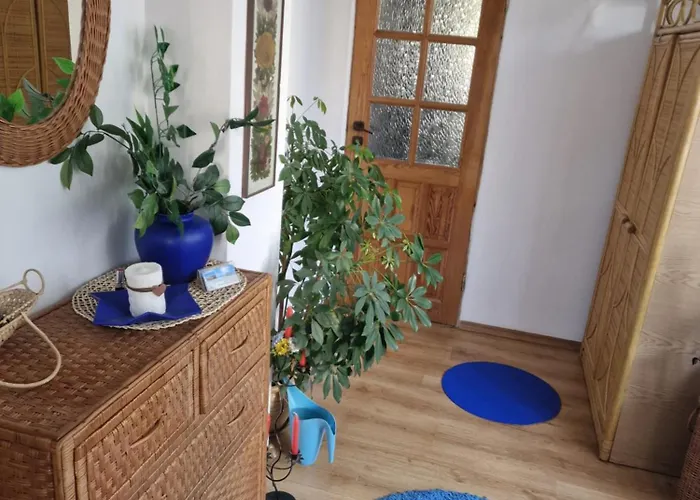 Goscinne Nawigator *