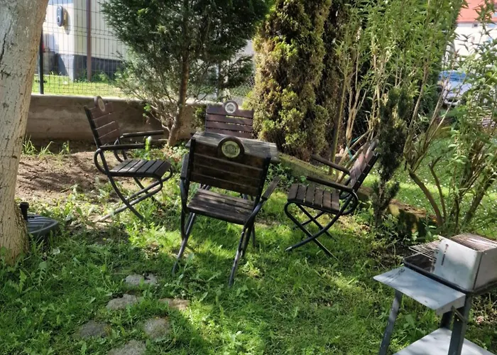 Goscinne Nawigator *